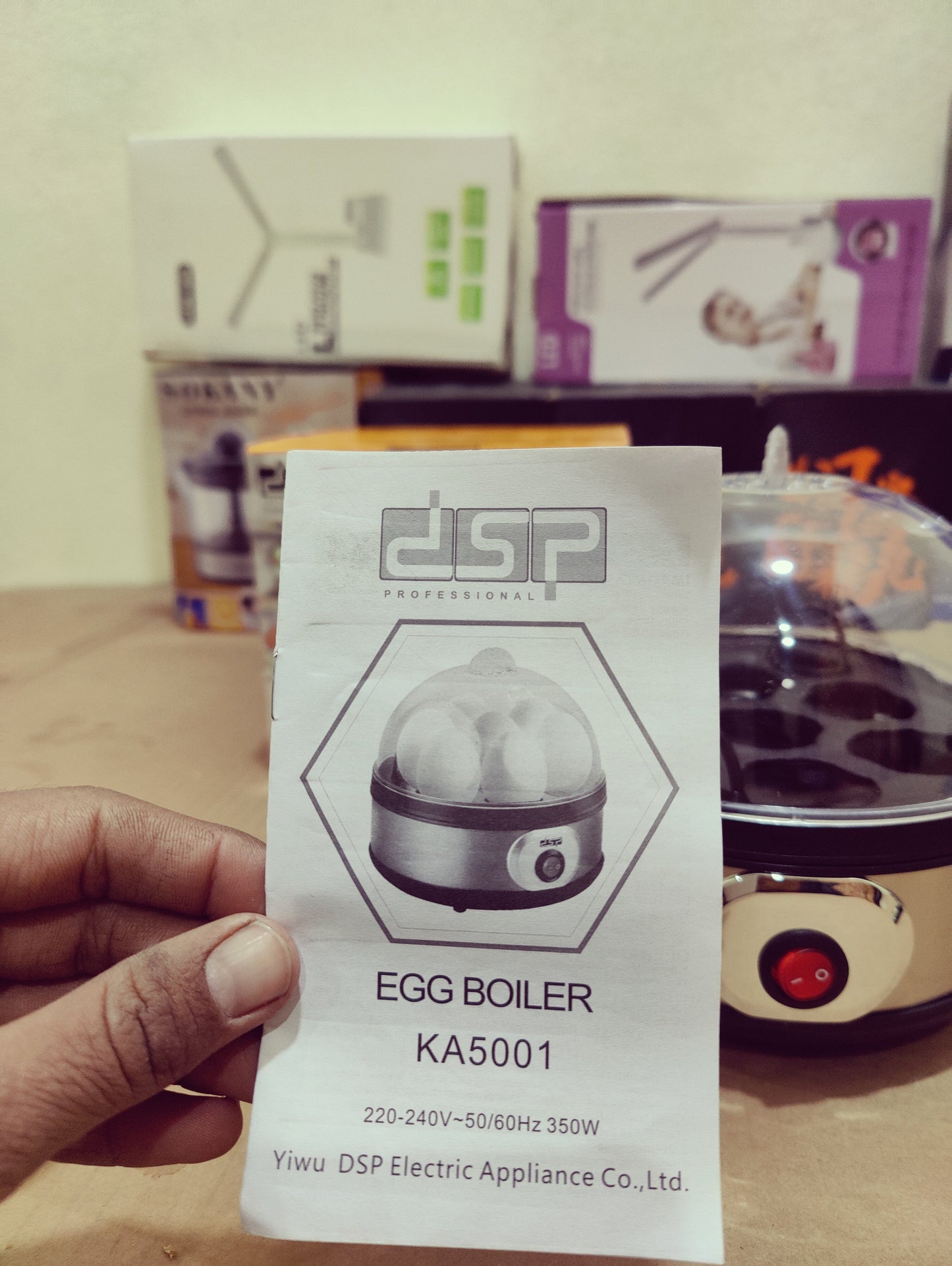 DSP Eggs Boiler 350W
