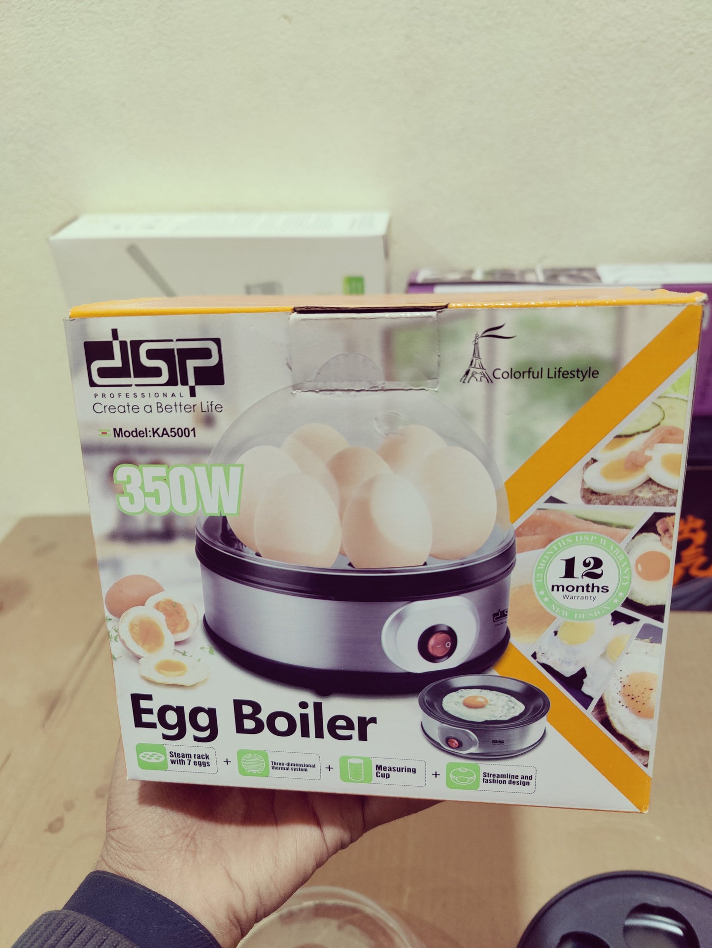 DSP Eggs Boiler 350W