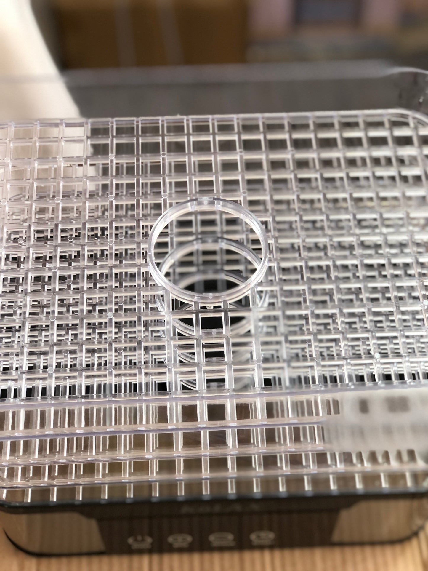 Kolax 5 Tray Food Dehydrator 914103